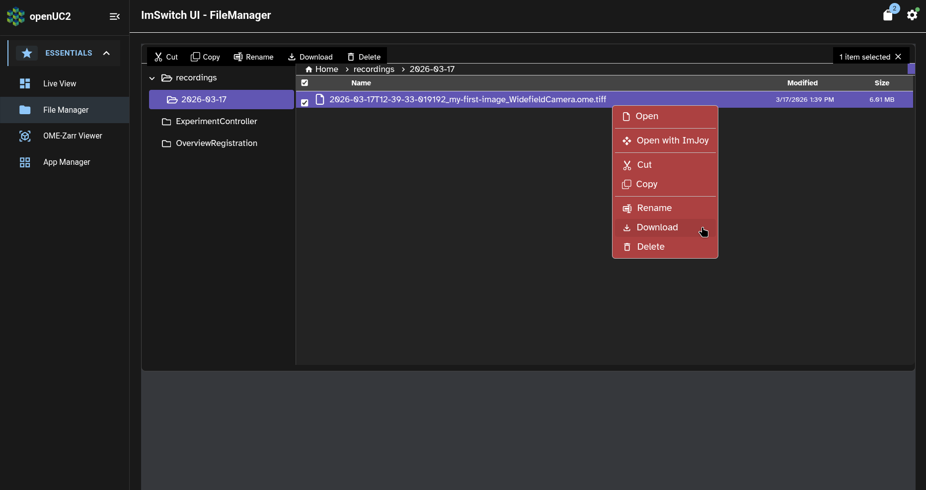 ImSwitch app: File Manager page: context menu: download
