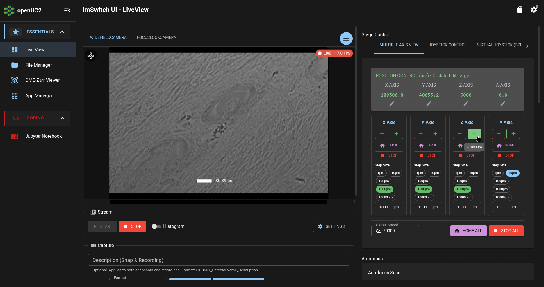 ImSwitch app: Live View page: Stage Control section: coarse focusing